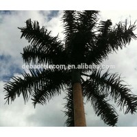 camouflage coconut tree cell towers